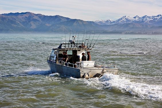Fishing at Kaikōura